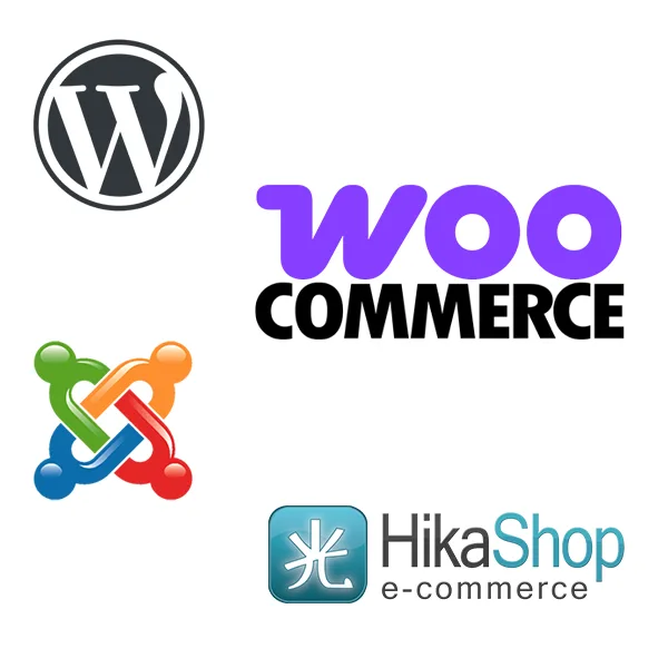 Programmatore PHP javascript